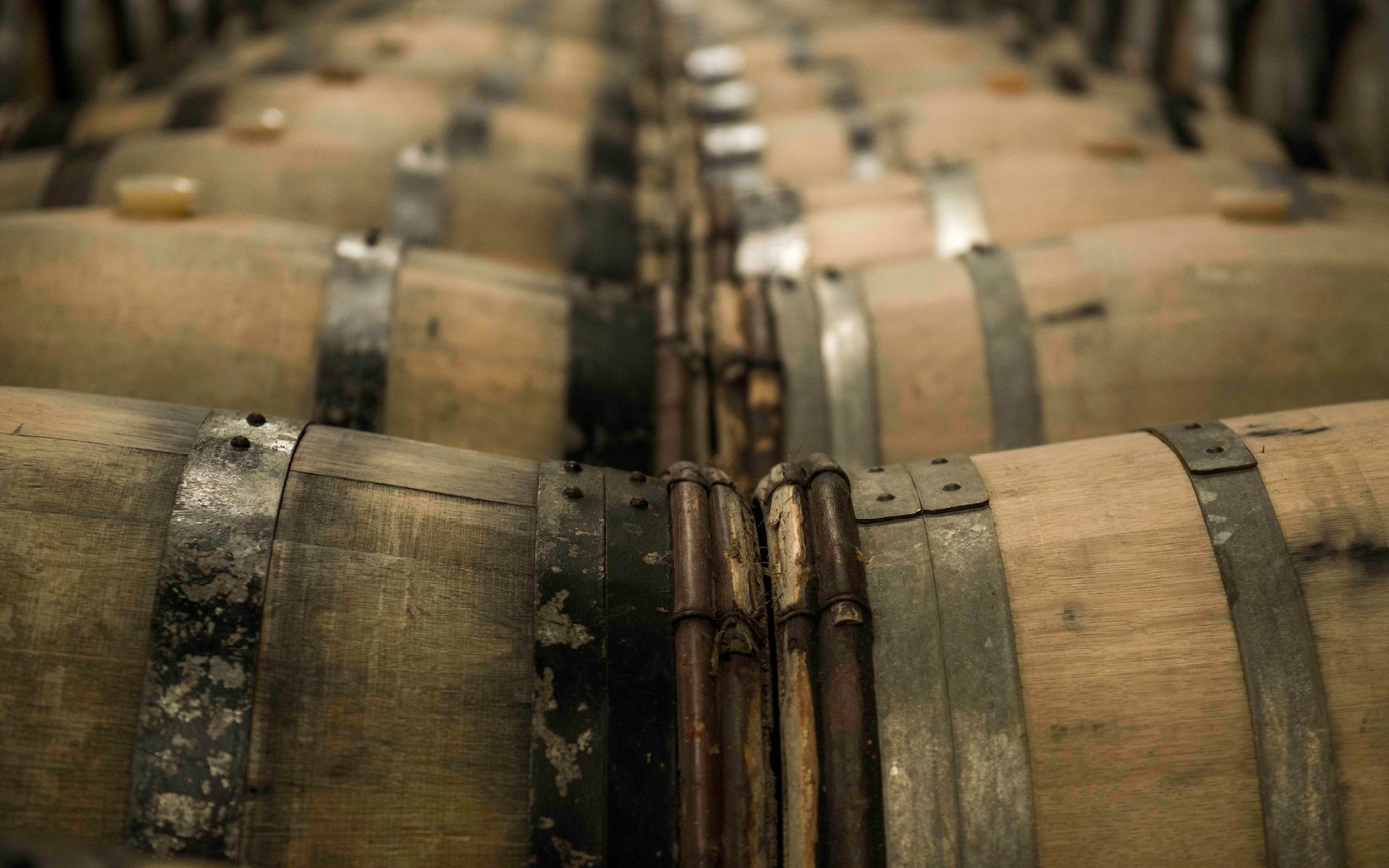 BeInspired_2026_master2 BeInspired_2026_master2