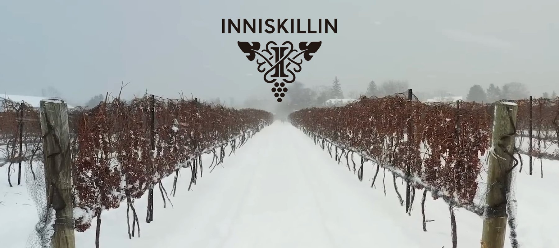 icewine