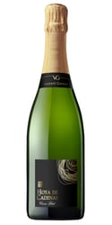 nyehter_vin_2025_vin3